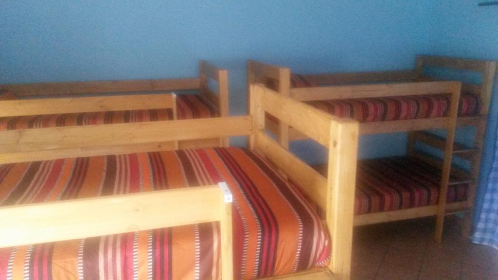 The Birches Backpacker Lodge Randburg 객실 사진